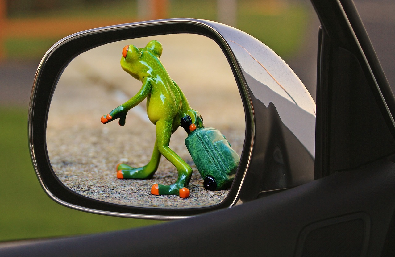 time to go frog farewell free photo