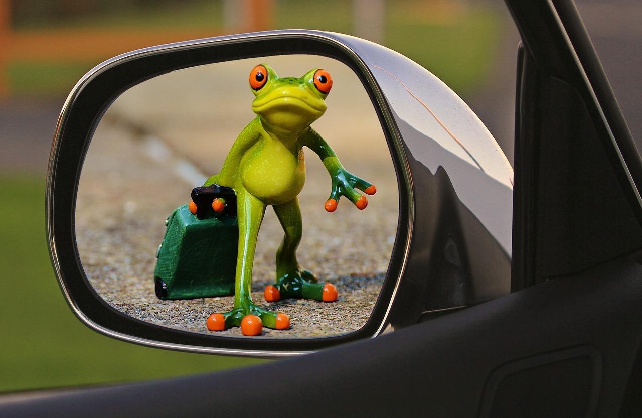time to go frog farewell free photo