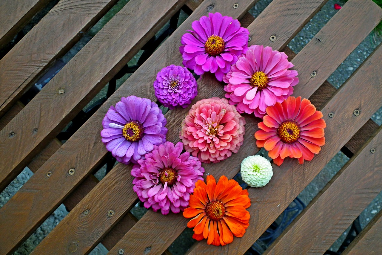 tin  flowers  colorful free photo