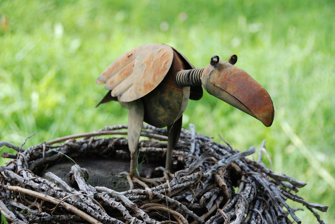 tinny bird rusty branches free photo