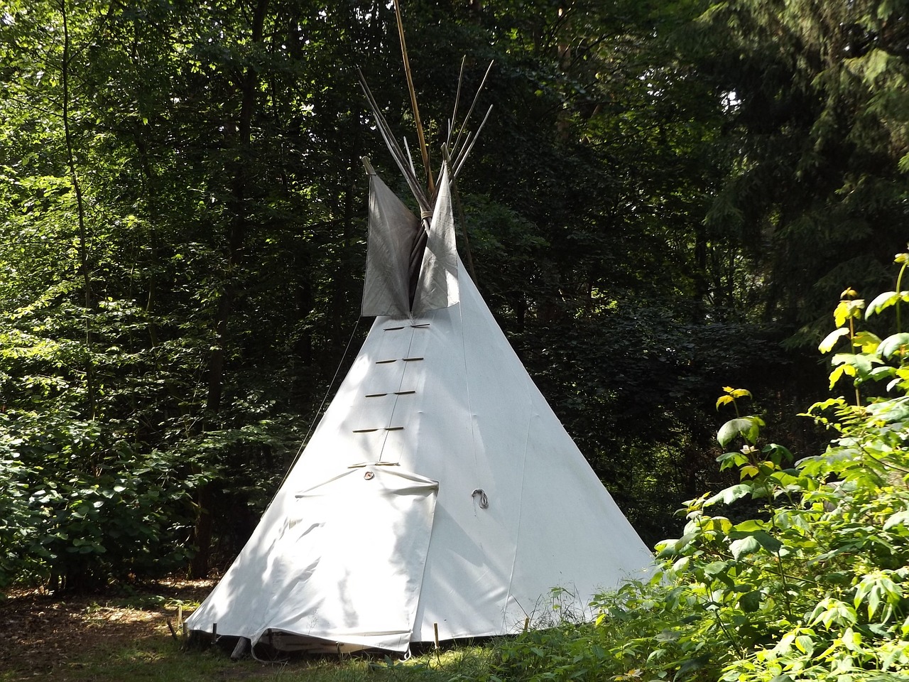 tipi forest nature free photo