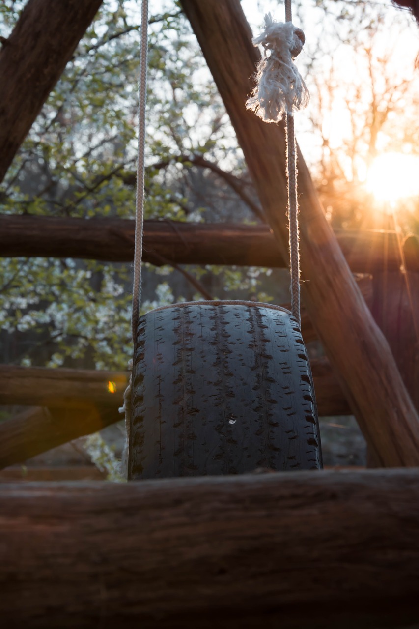 tire swing spring free photo