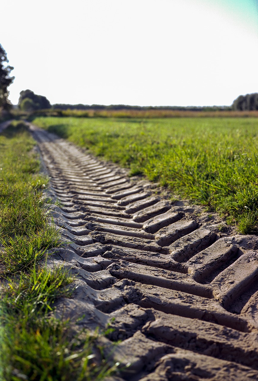 tire path wheel free photo