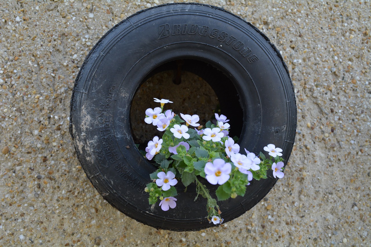 tire flower idea free photo