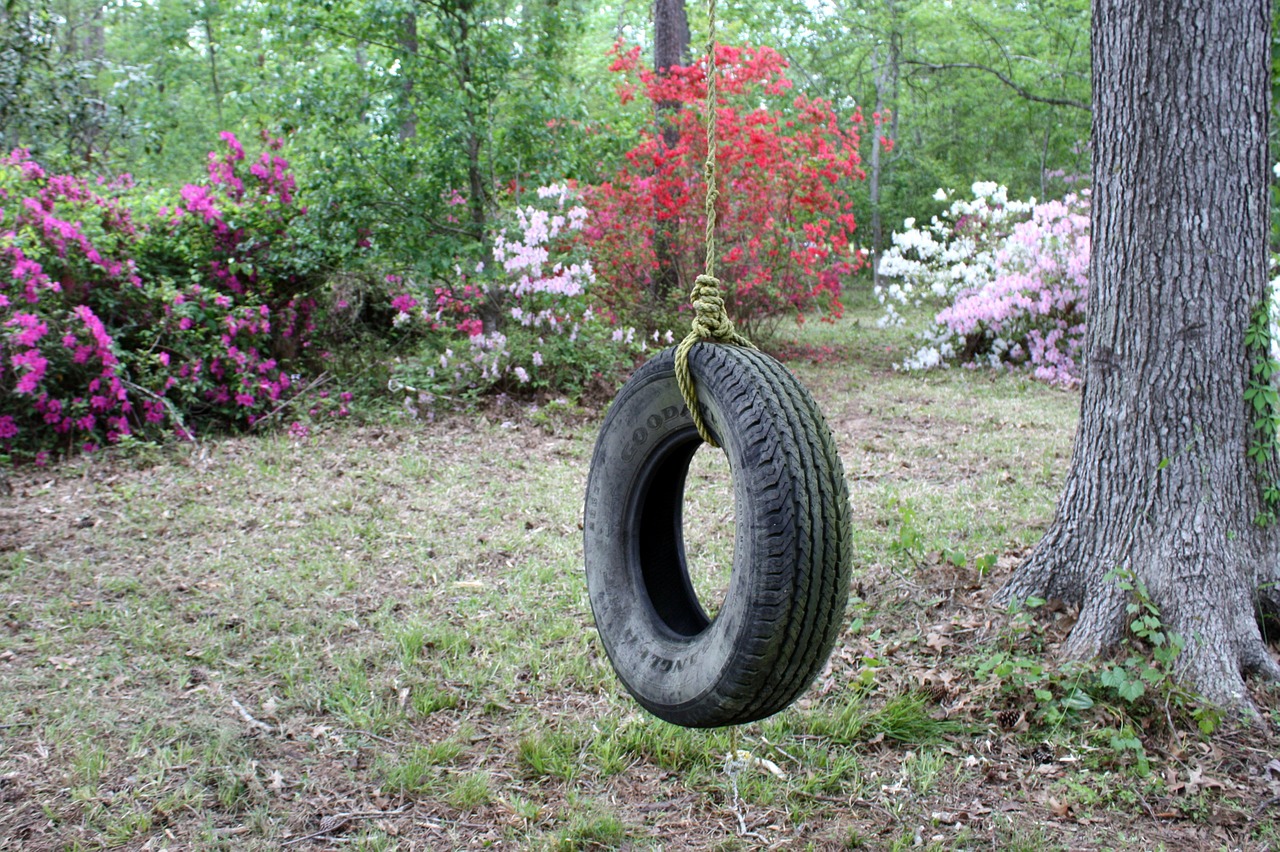 tire swing azaleas backyard free photo