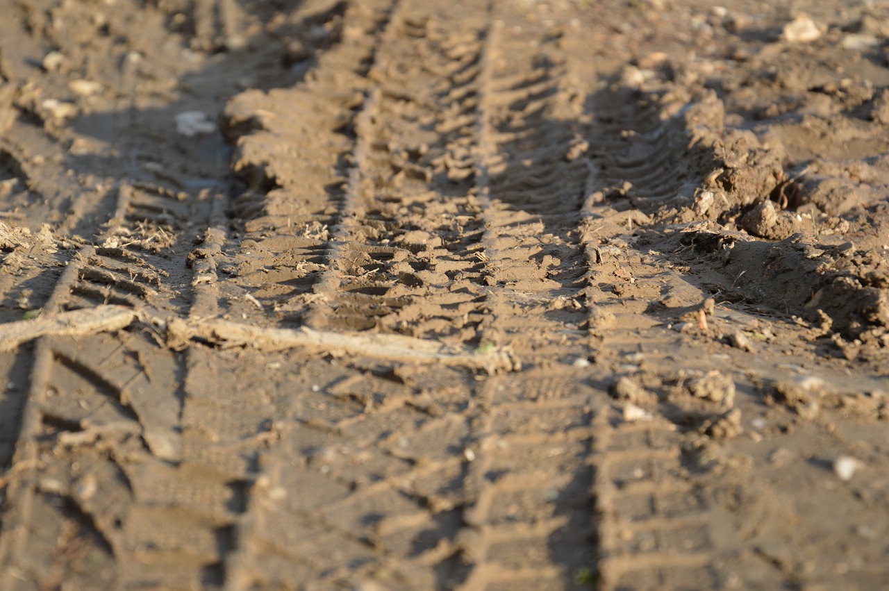 tire tracks mature arable free photo