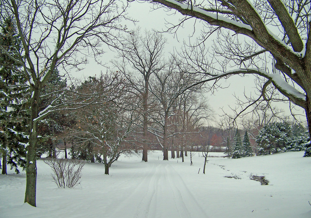 tire tracks snow free photo