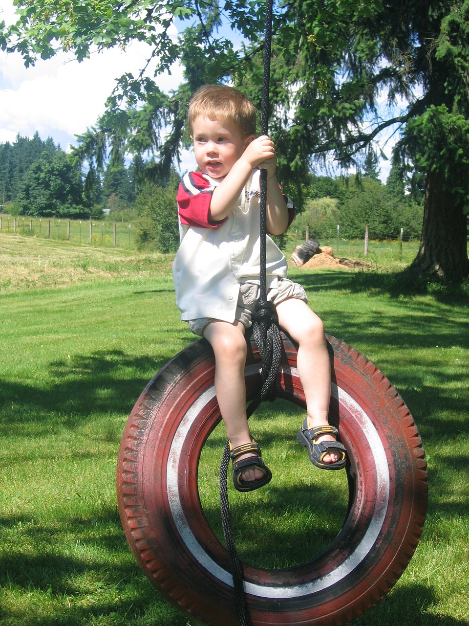 tireswing swing tire free photo