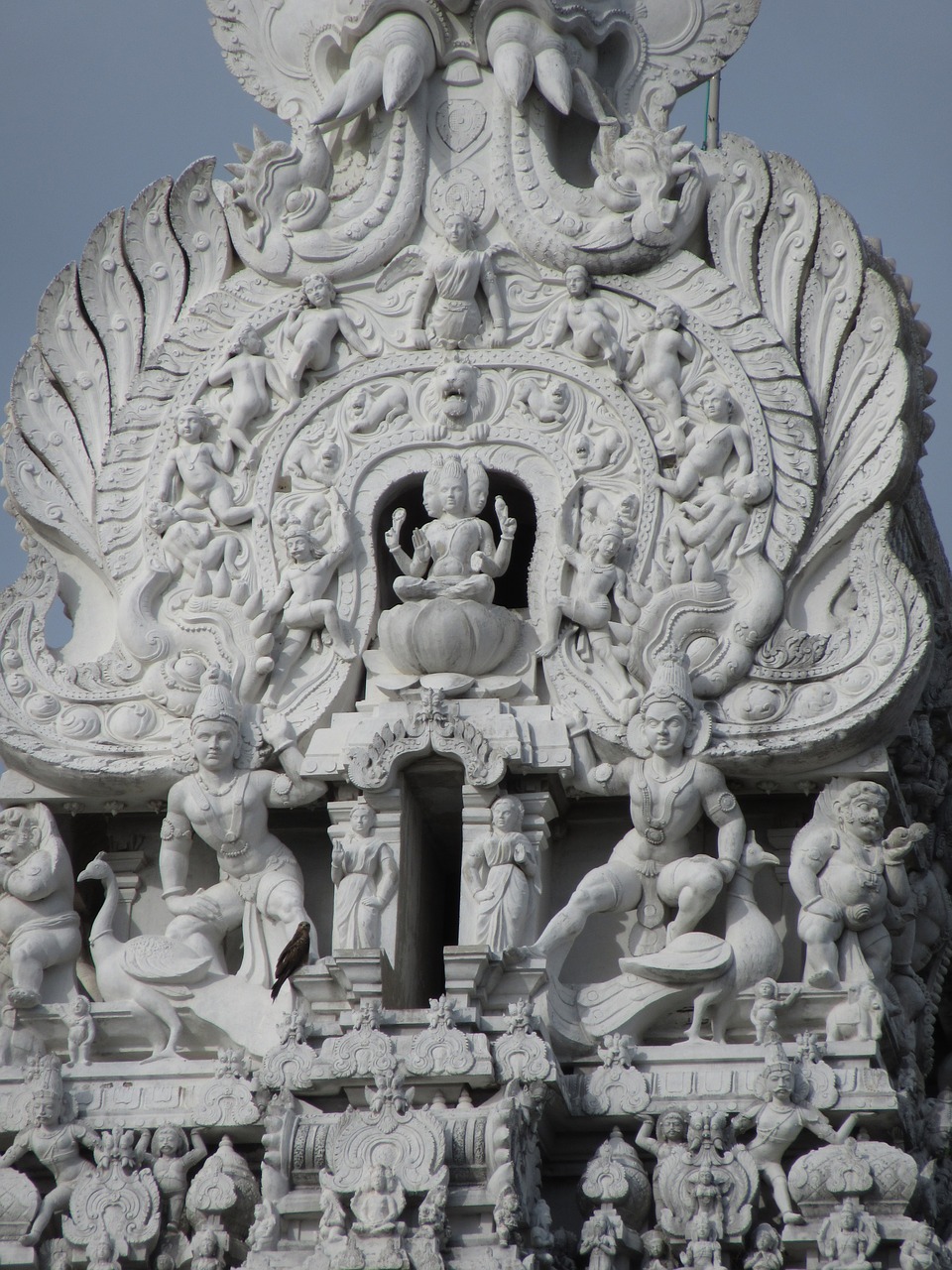 tiruchendur murugan temple tamilnadu free photo