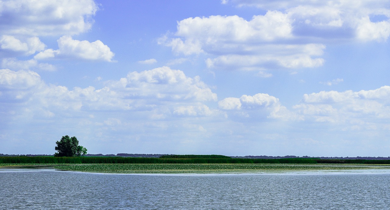 tisza lake landscape free photo