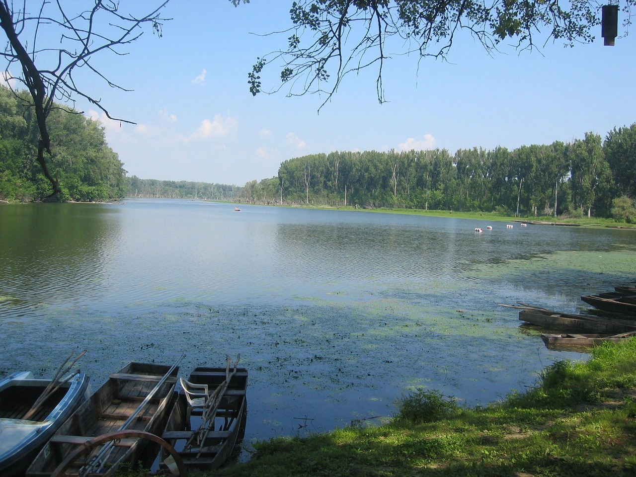 tisza water lake free photo