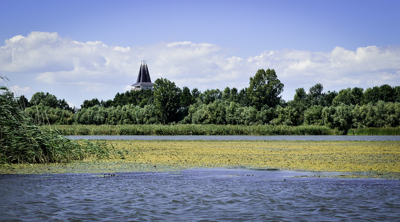 tisza-lake poroszló summer free photo