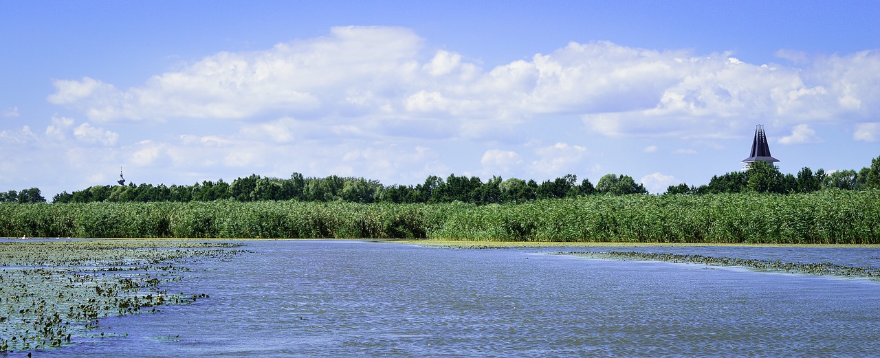 tisza-lake poroszló green free photo