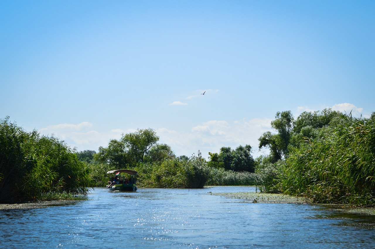 tisza-lake poroszló green free photo