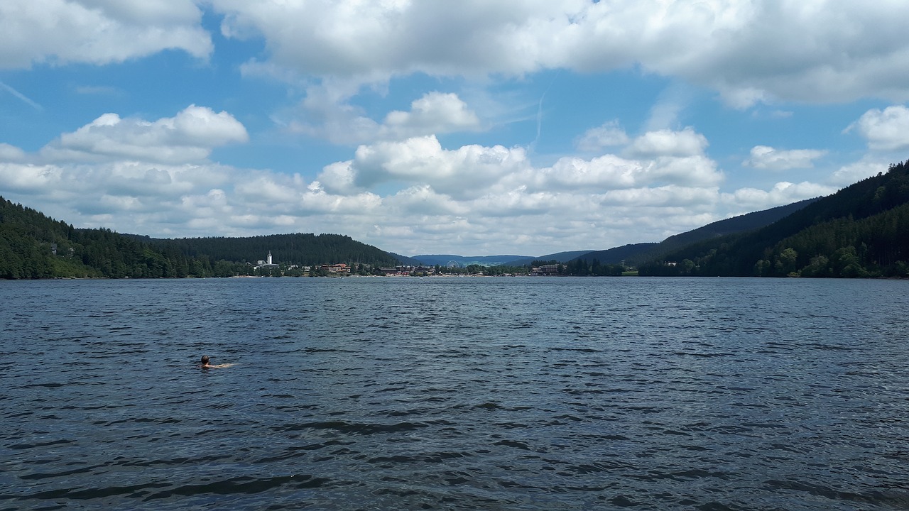 titisee black forest lake free photo