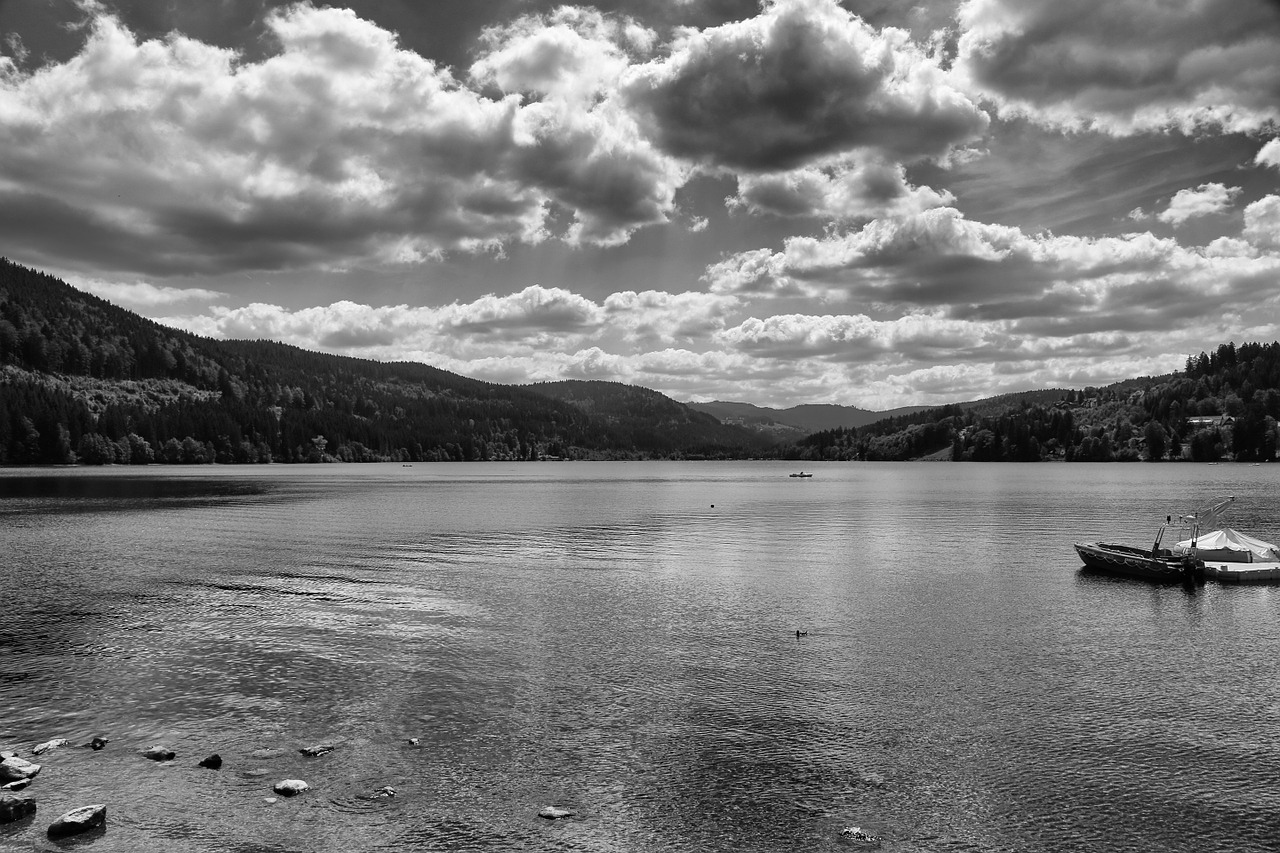 titisee black forest lake free photo