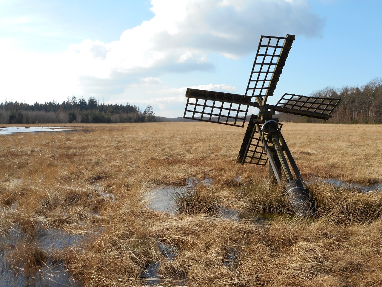 tjasker mill heide free photo