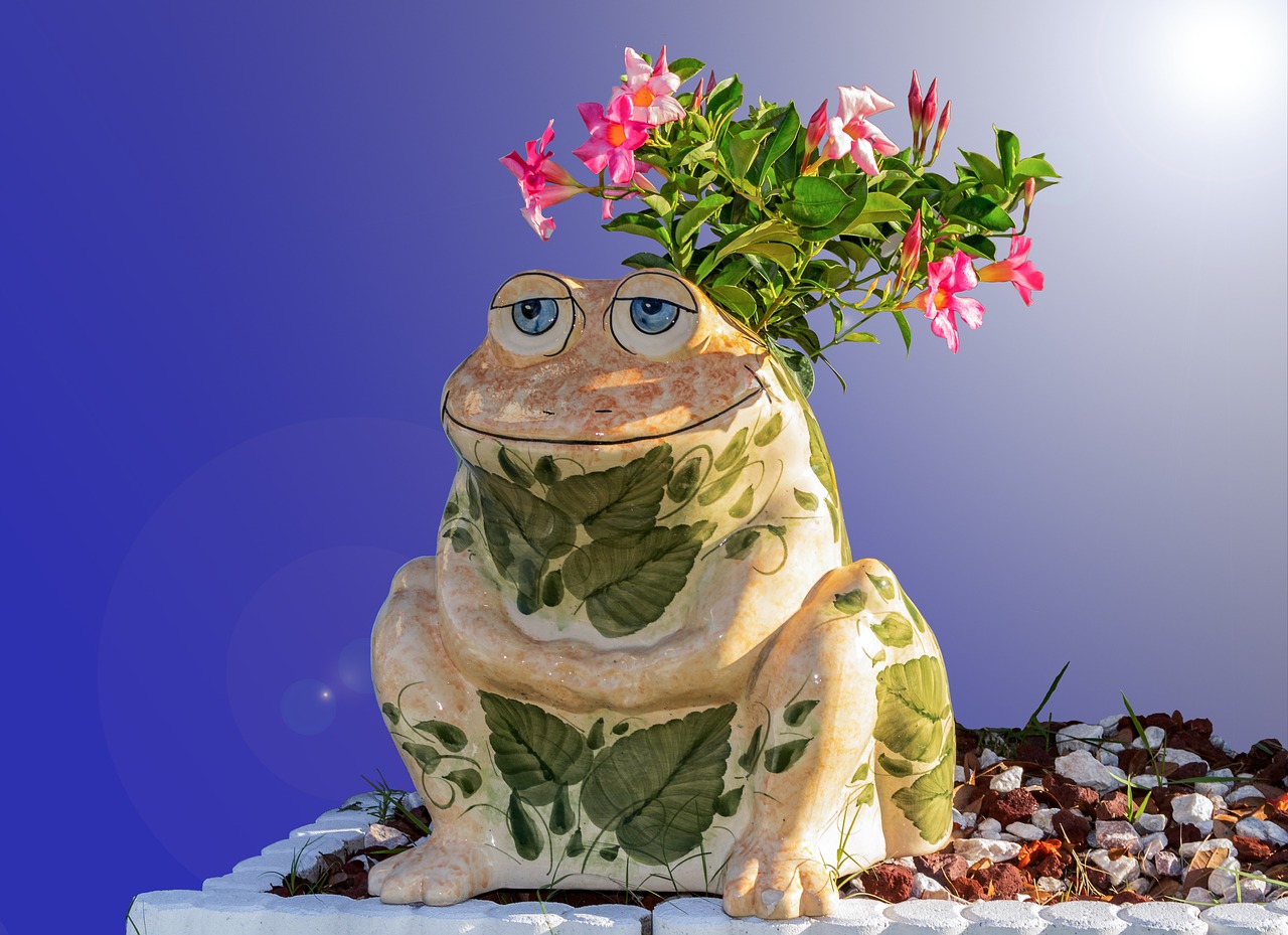 toad porcelain planter free photo