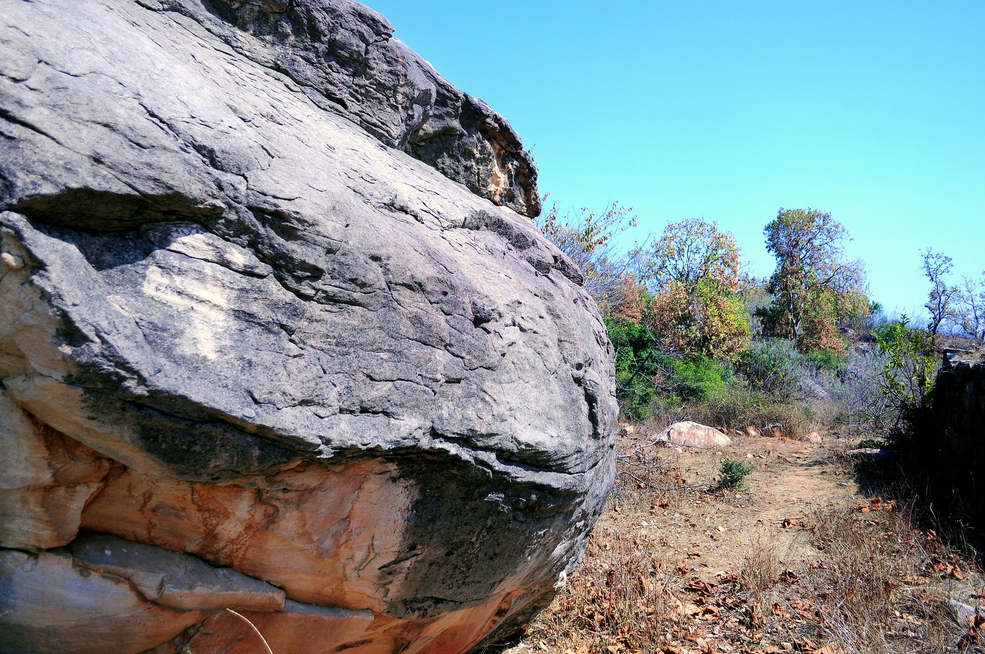 rock nature forest free photo