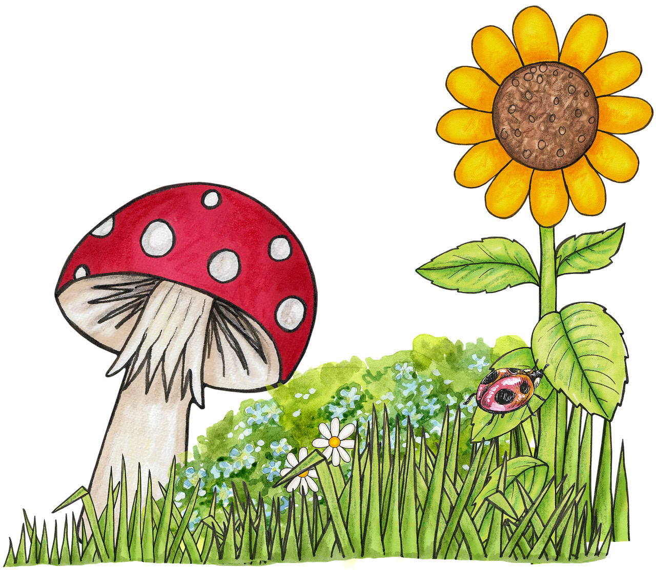 toadstool sunflower garden free photo