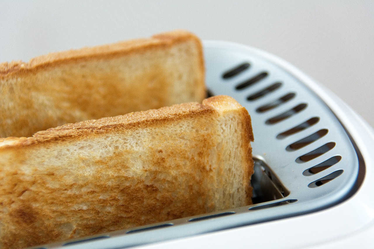 toast eat food free photo