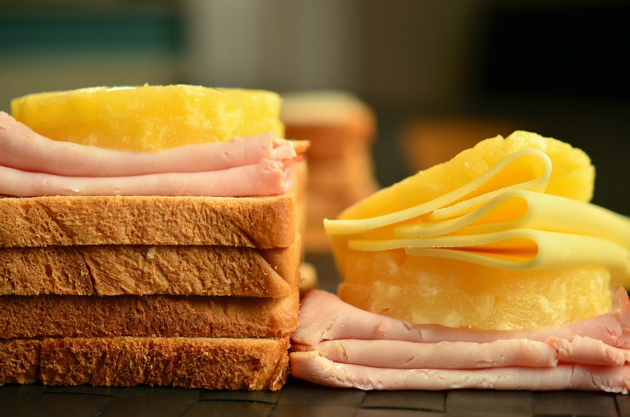 toast cheese cheese slices free photo