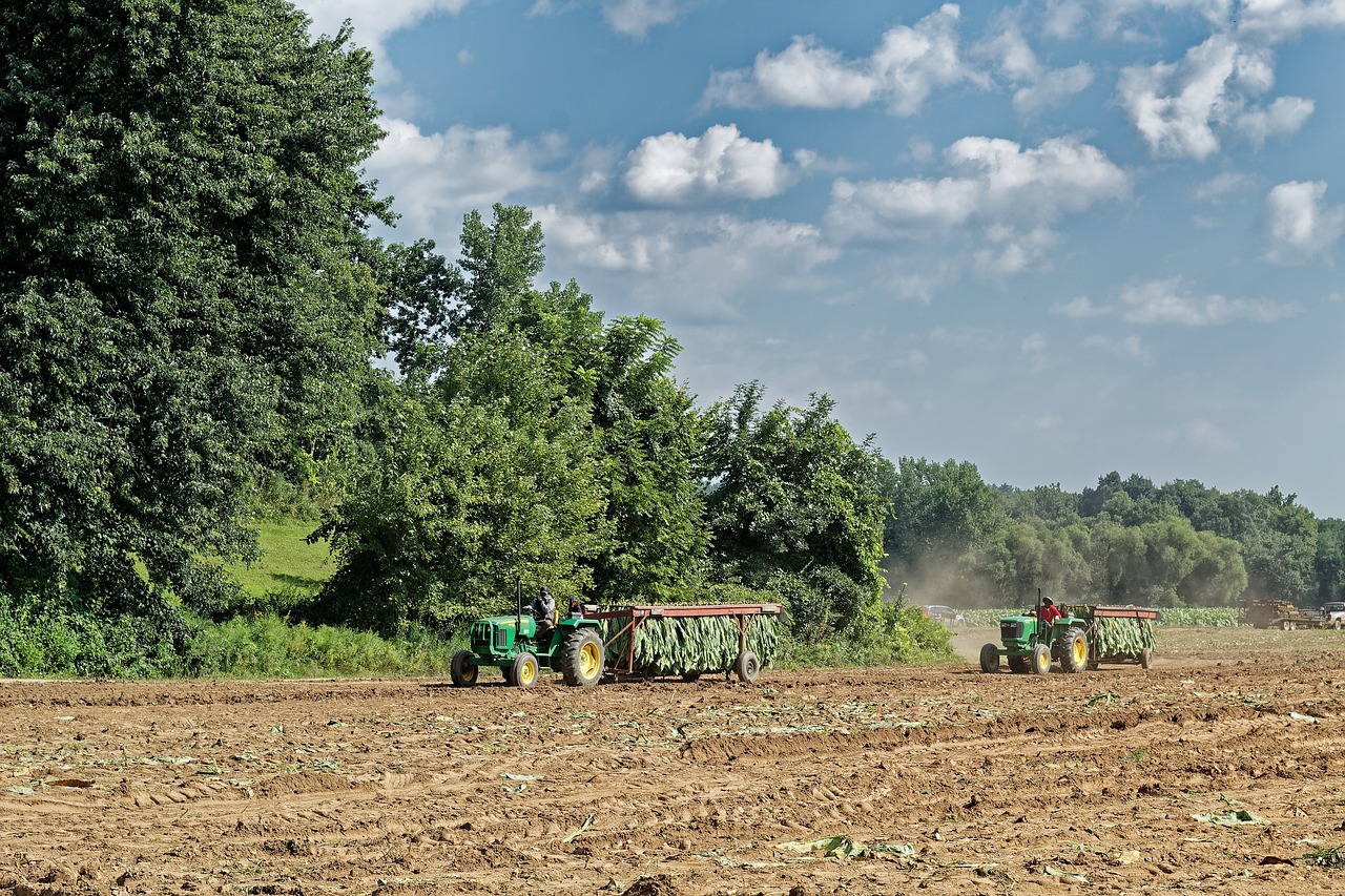 tobacco  harvest  tractors free photo