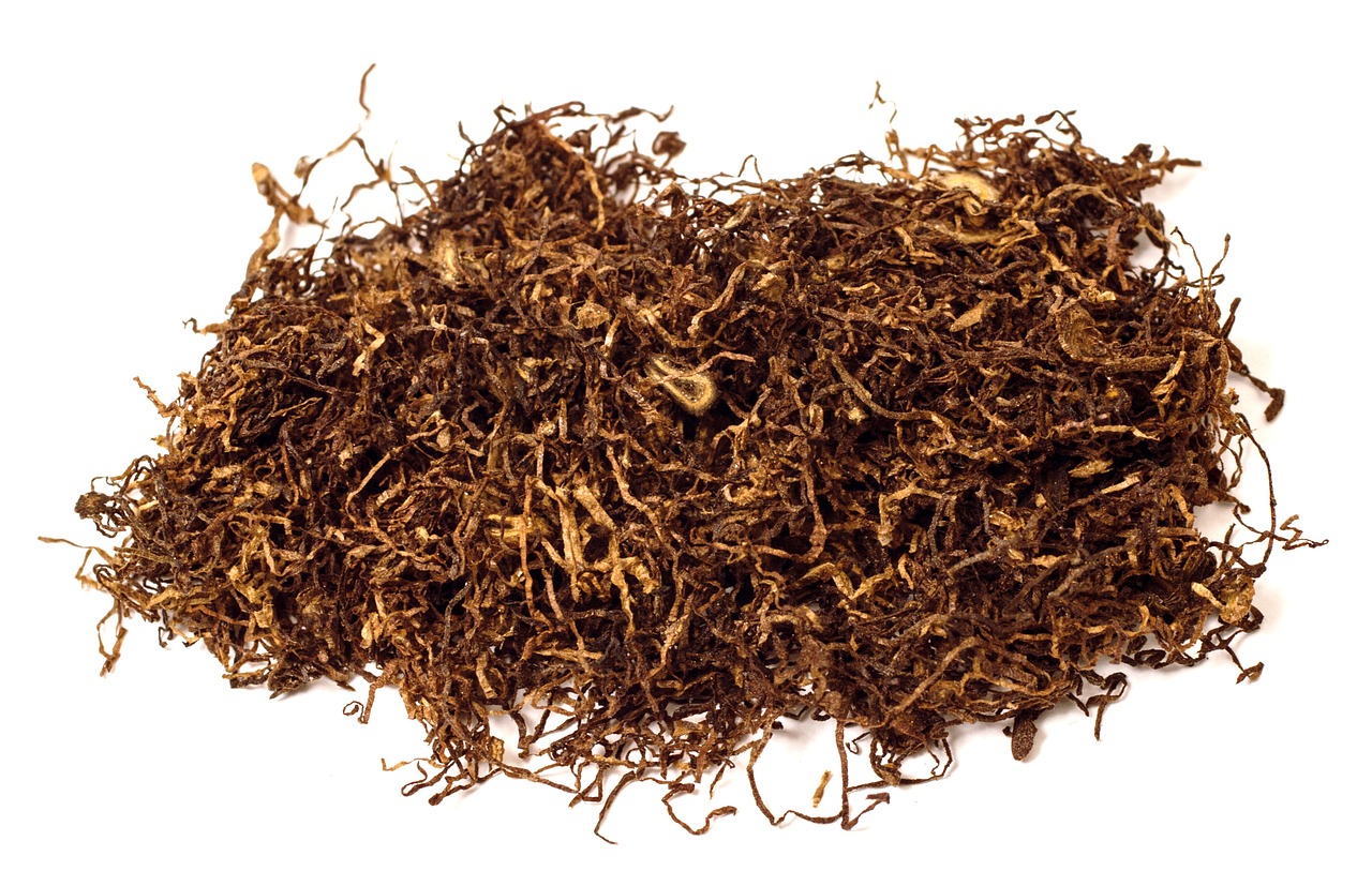 tobacco leaves aroma free photo
