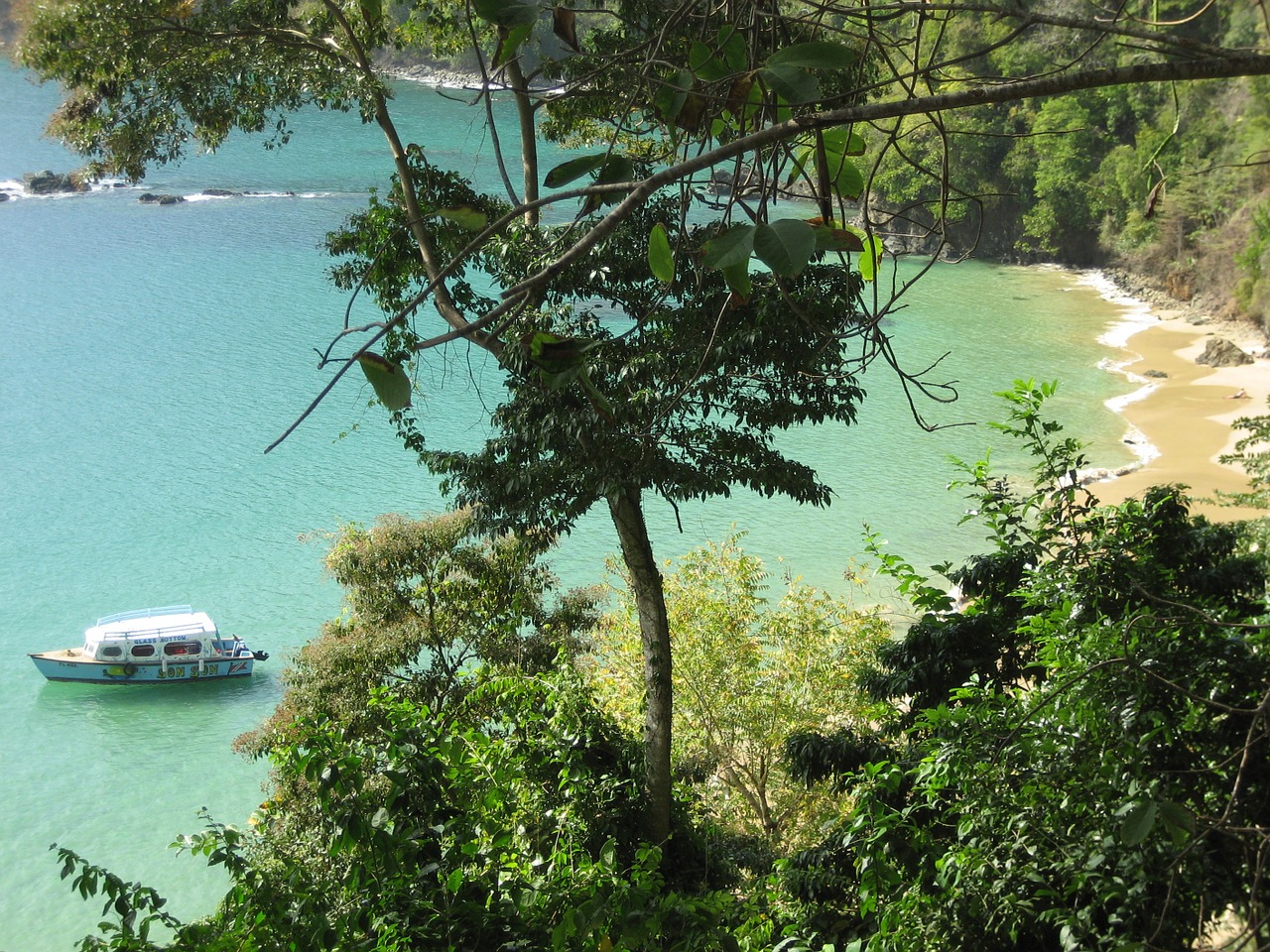 tobago beach summer free photo