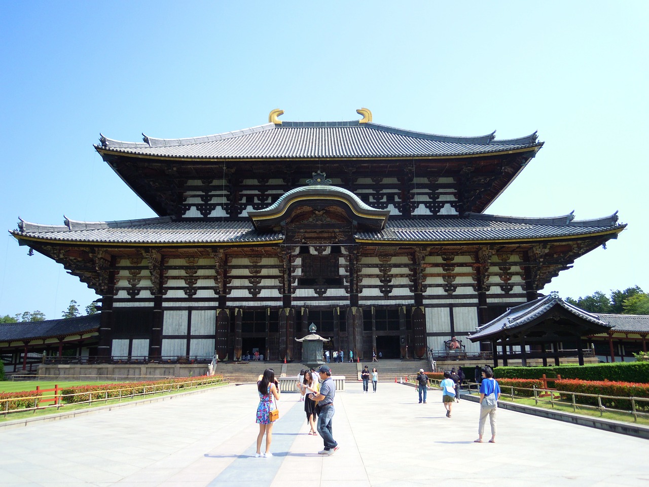 todaiji summer travel free photo