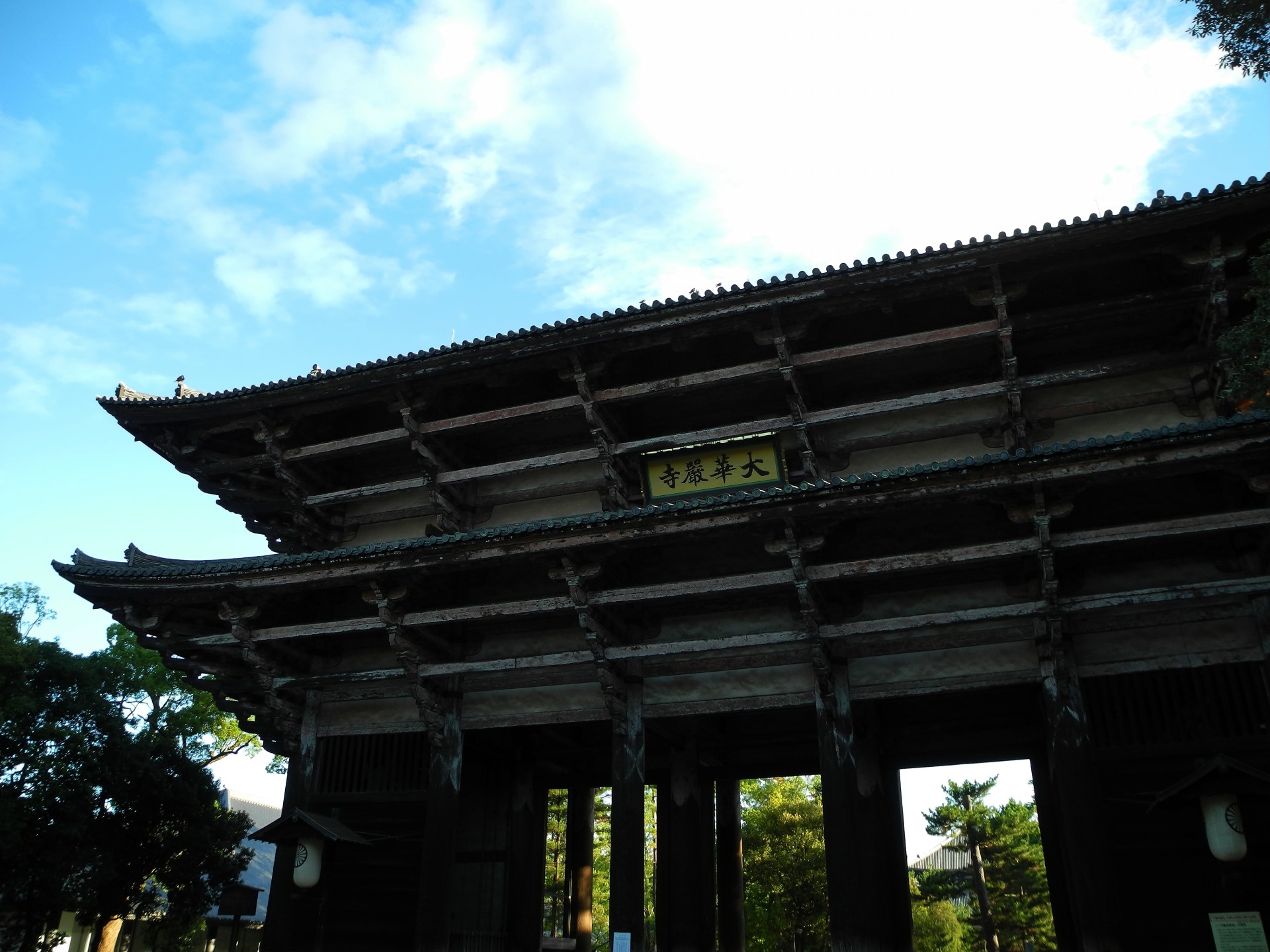 todaiji nandaimon nara free photo