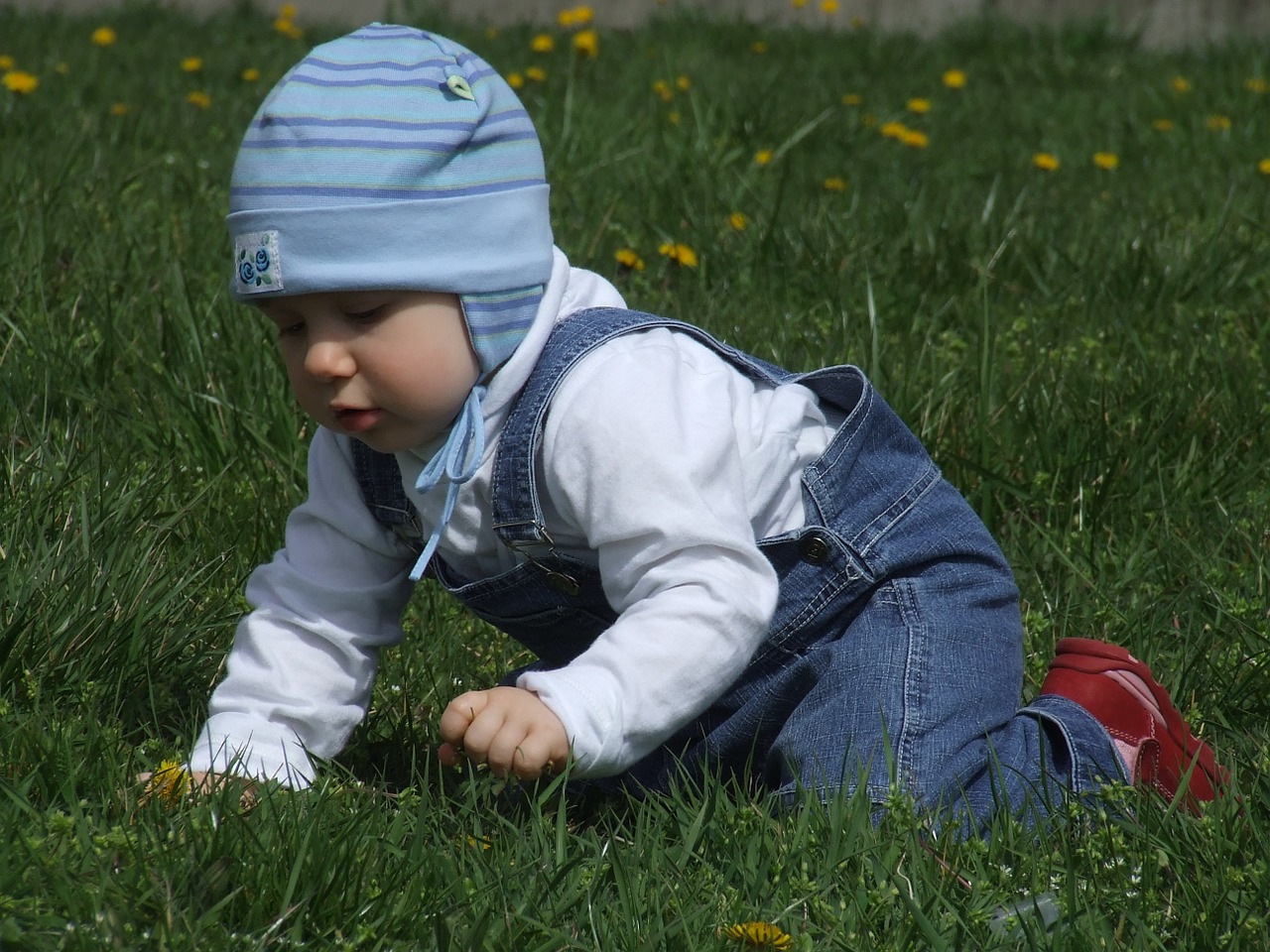 toddler on the grass blue cap free photo