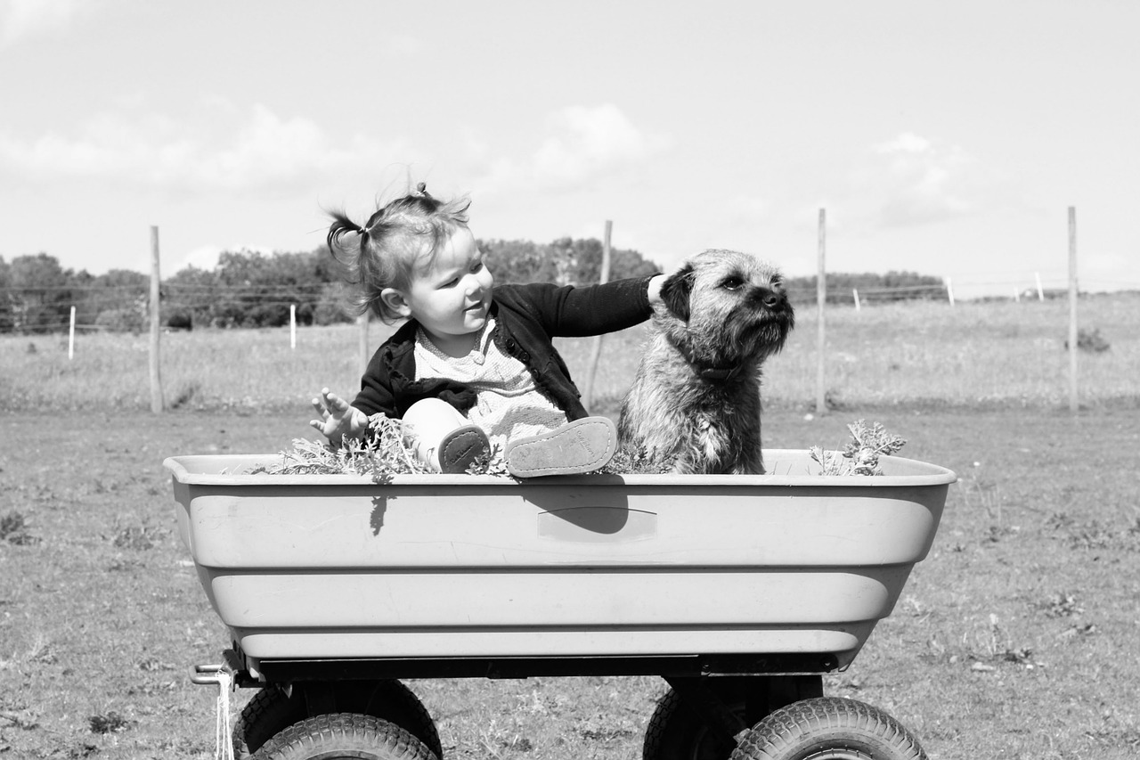 toddler dog black and white free photo