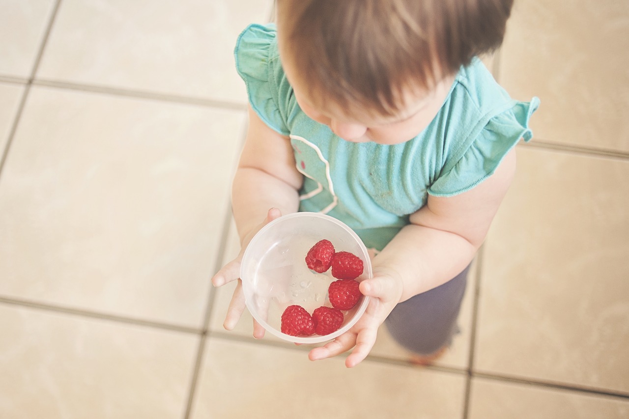 toddler raspberries holding free photo