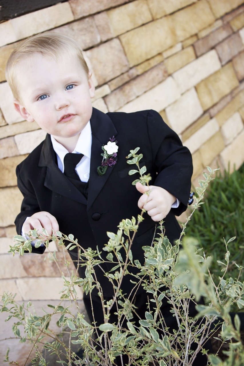 toddler boy cute free photo