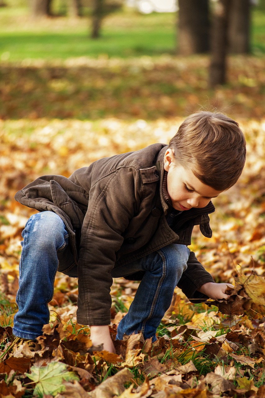 toddler in the park child picking up leaves autumn free photo