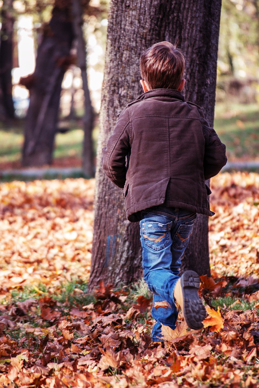 toddler running towards a tree park autumn leaves free photo