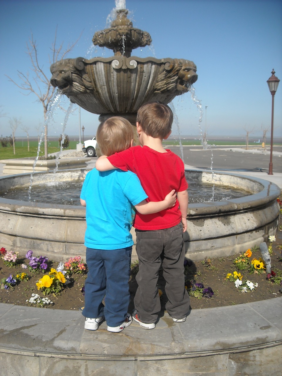 toddlers brothers buddies free photo