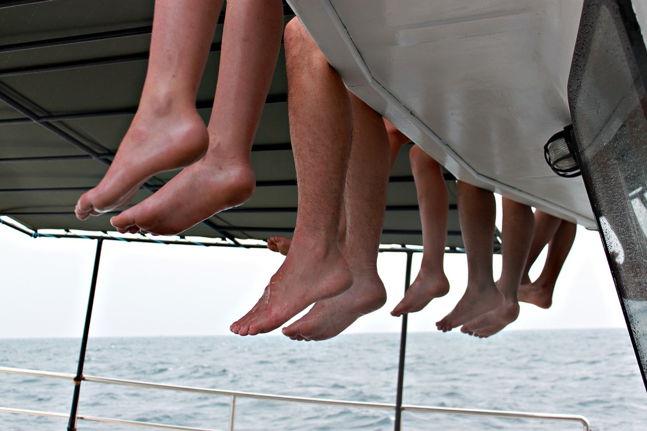 toes whale watching boat free photo