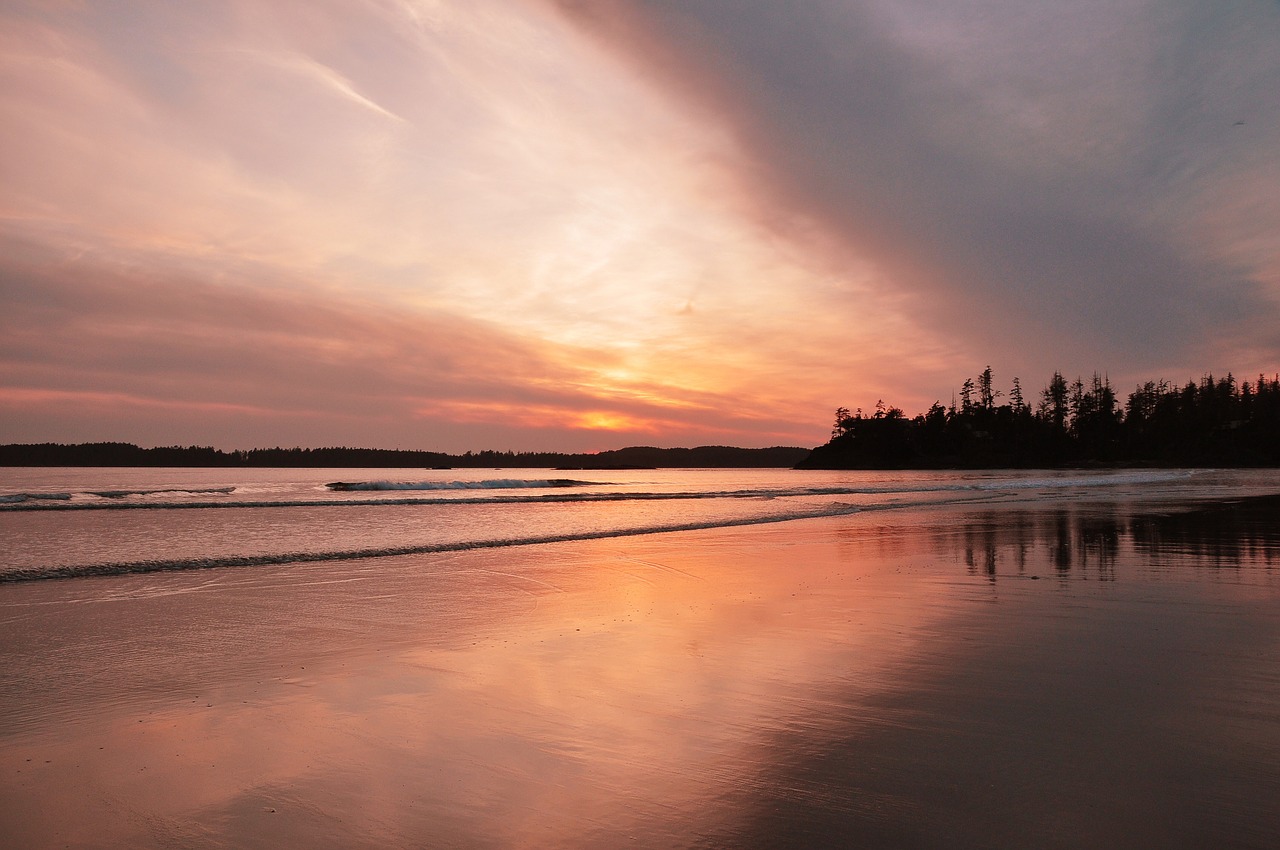 tofino sunset beach free photo