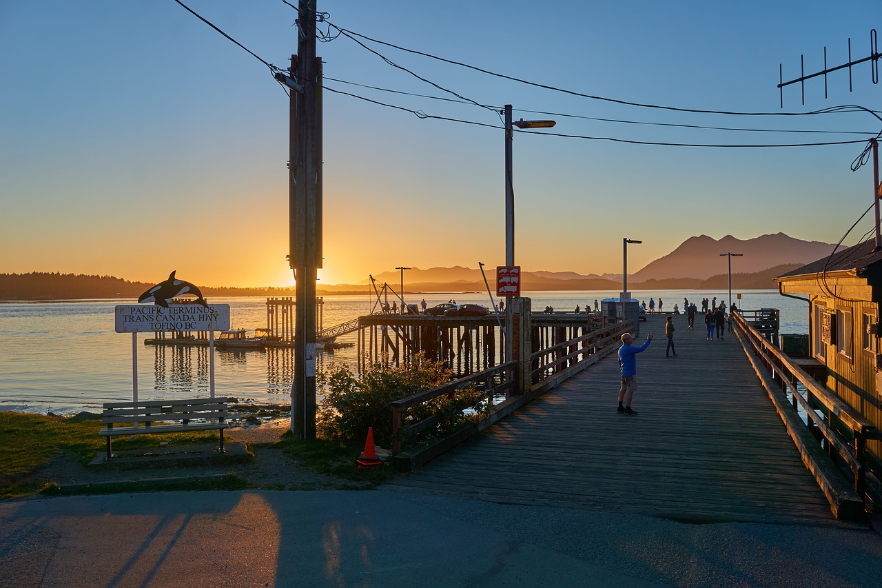 tofino  sunset  sea free photo