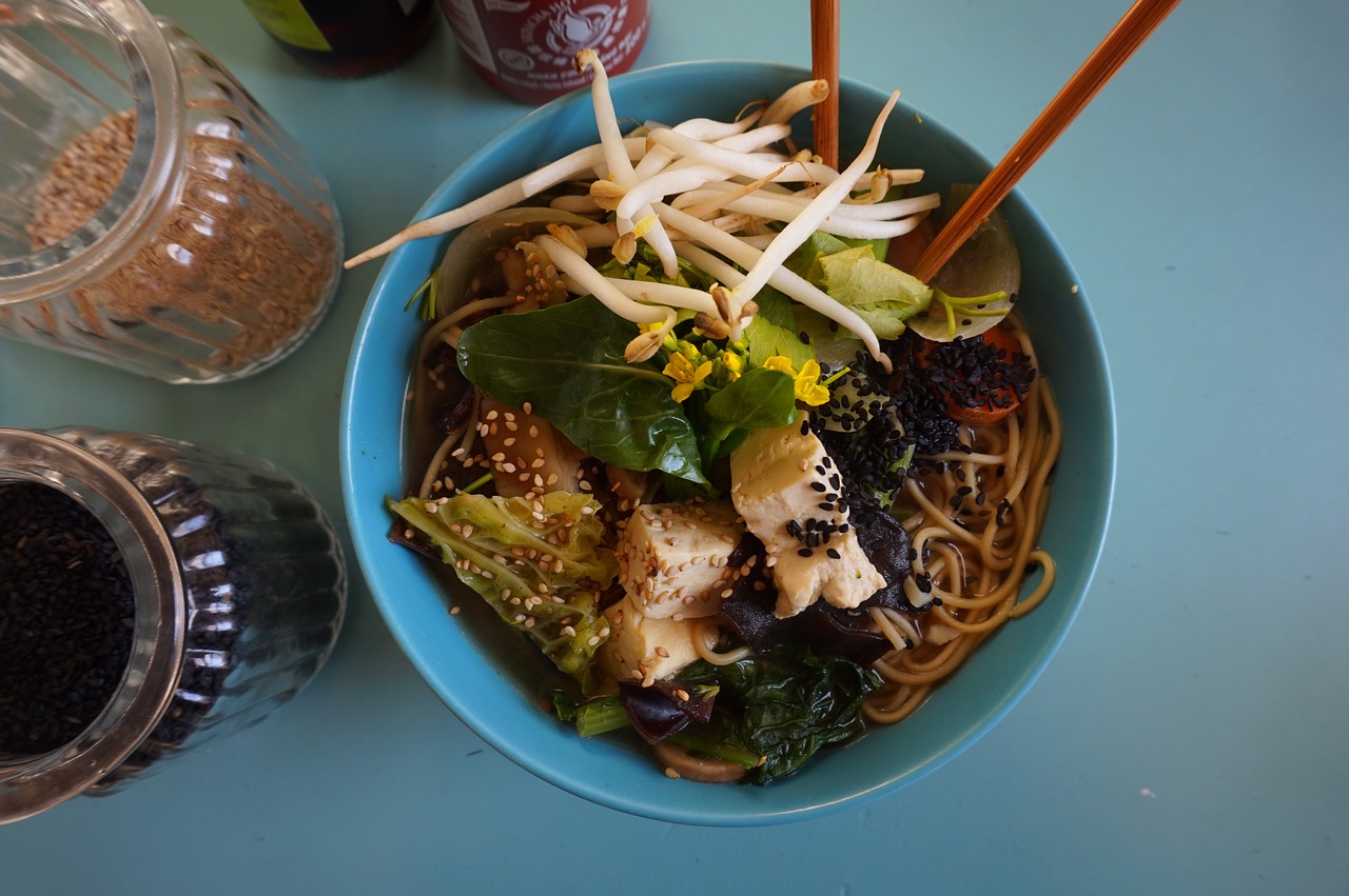 tofu noodle soup free photo