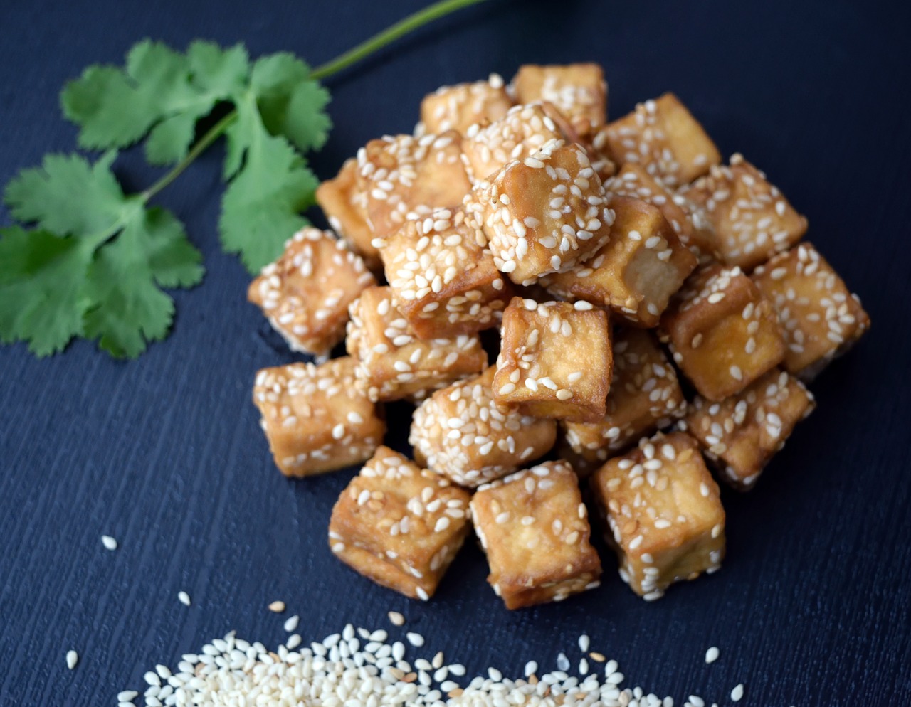 tofu sesame flat free photo