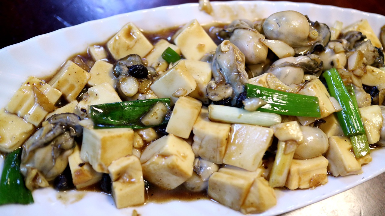 tofu oyster soybean oyster free photo