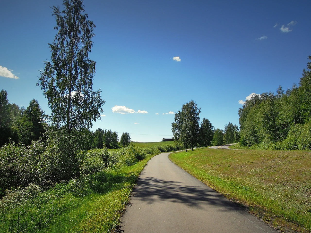 tohmajärvi finnish north karelia free photo