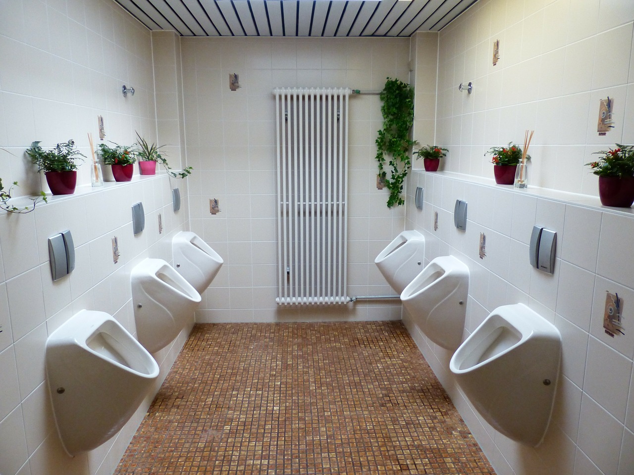 Download free photo of Toilet,wc,urinal,public,public toilet - from needpix.com
