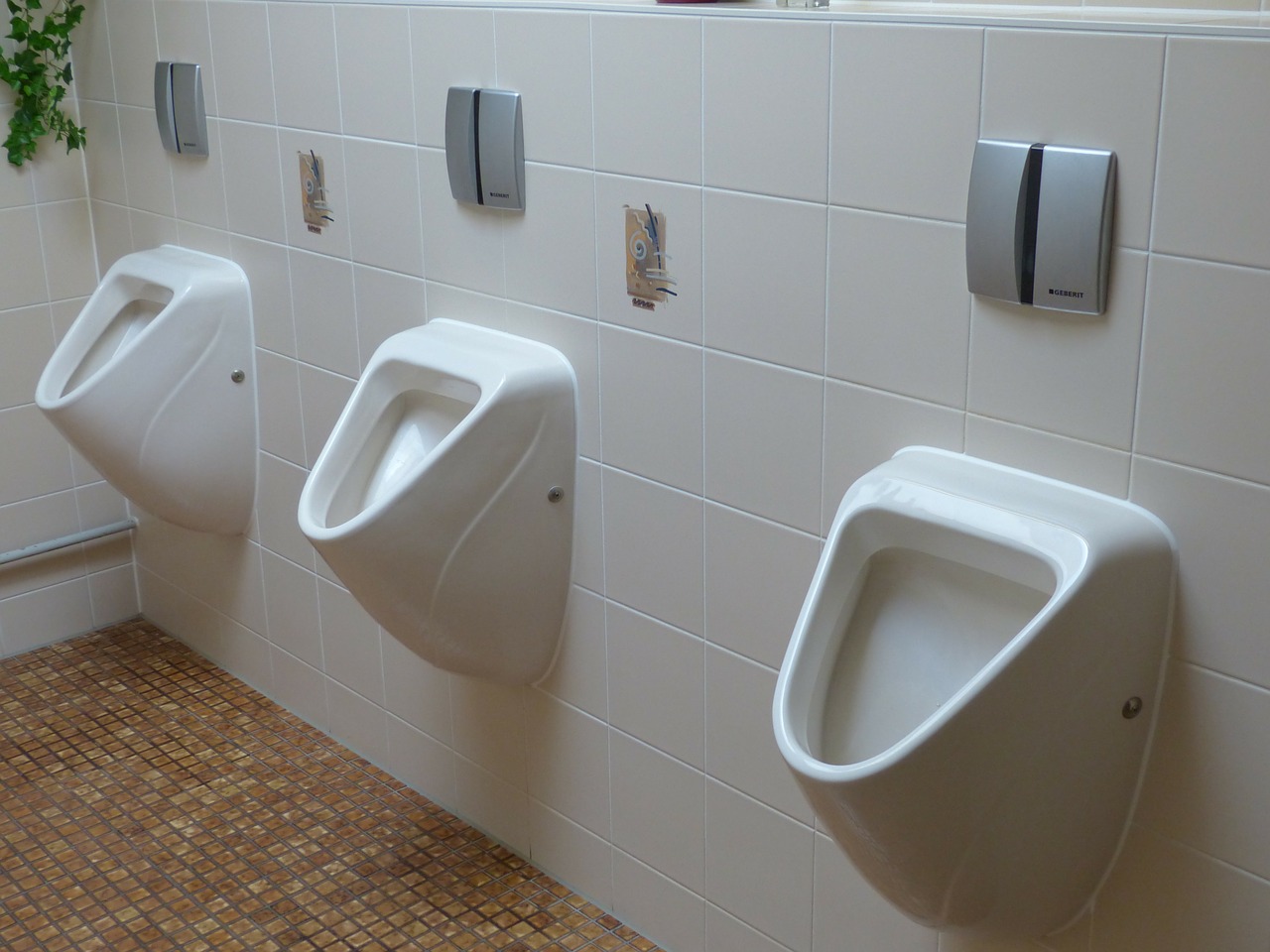 toilet wc urinal free photo