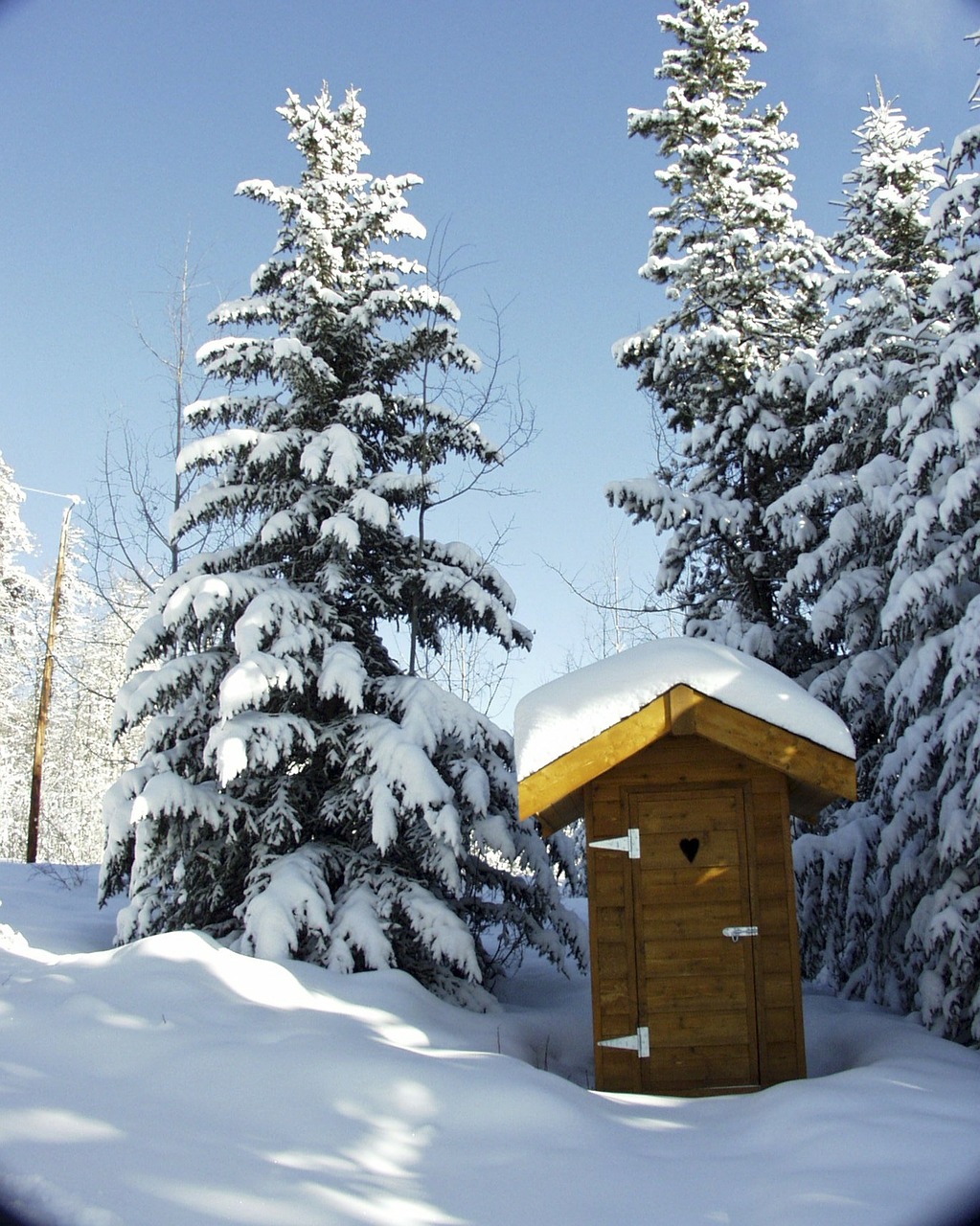 toilet out house wooden free photo