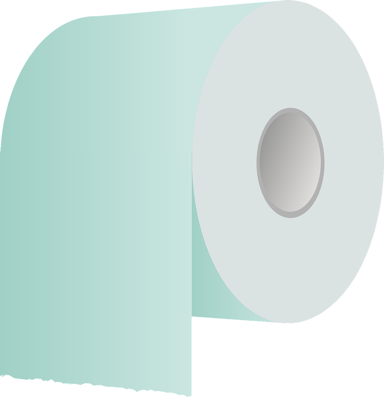 toilet paper roll free photo