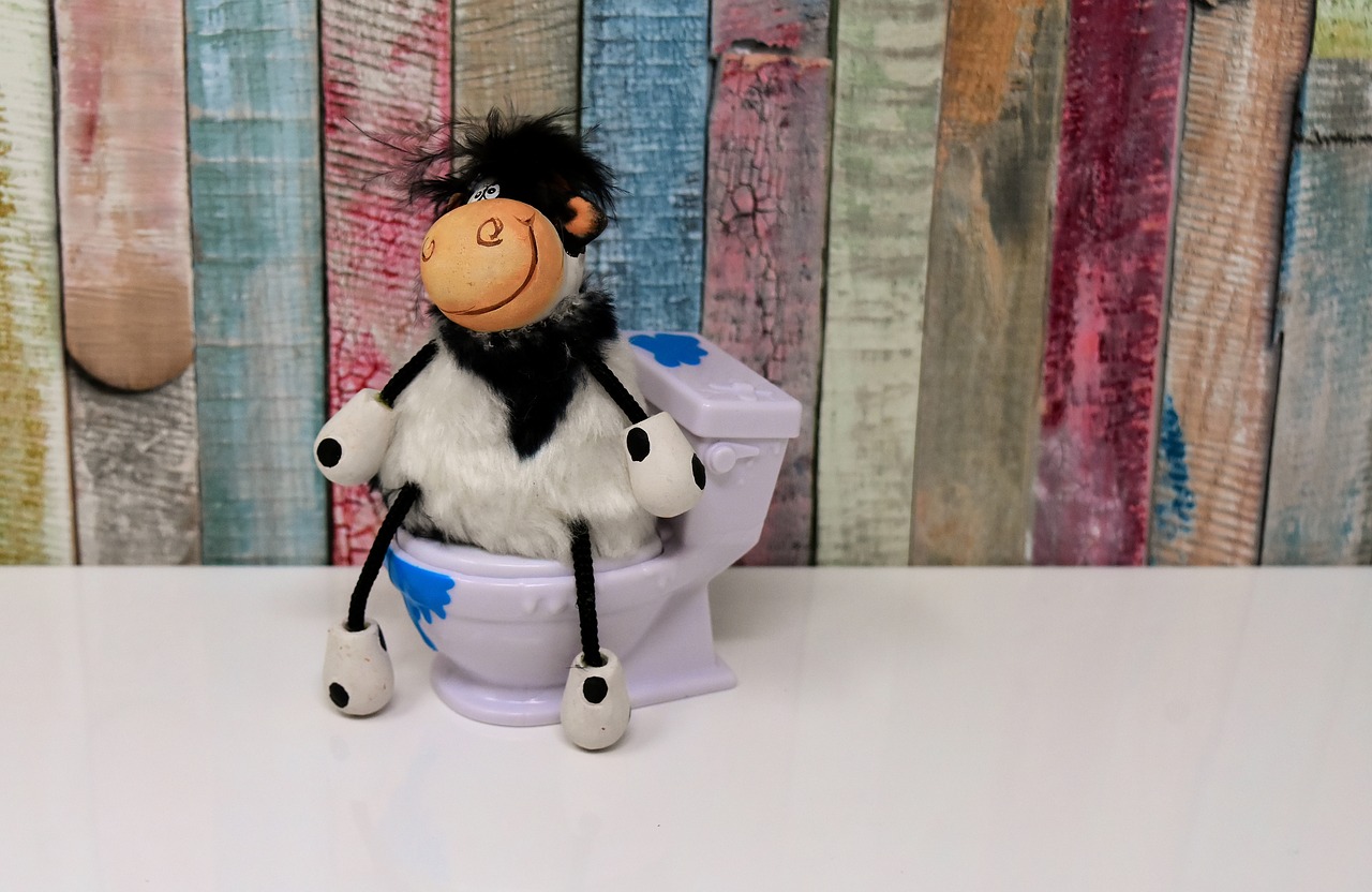 toilet  cow  figure free photo